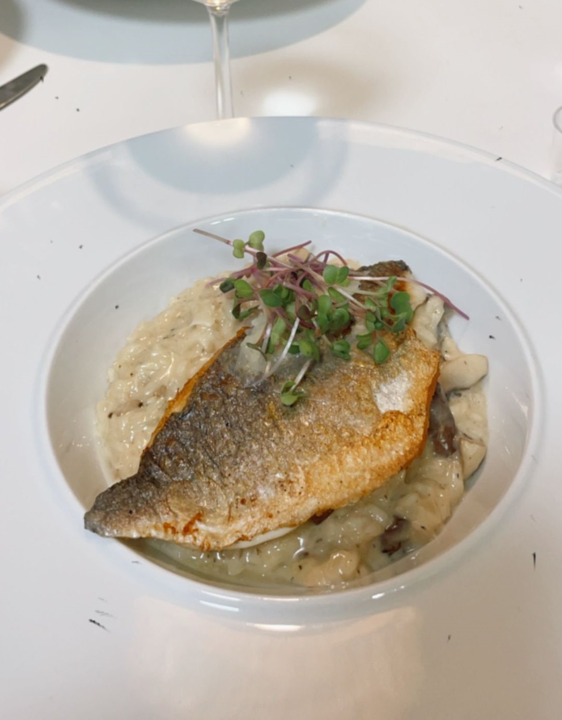 Fish and mushroom truffle risotto